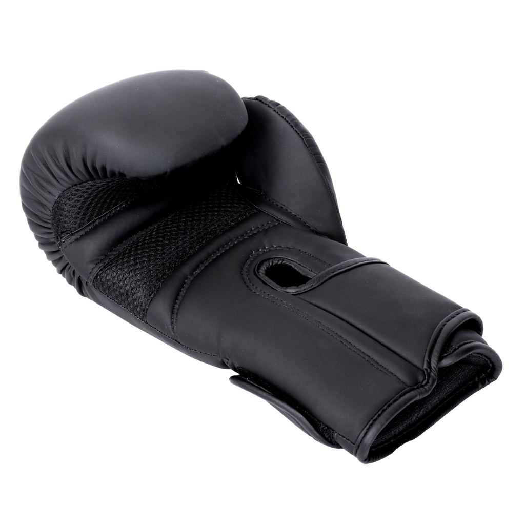 BBE Boxing Sparring/Bag Boxing Gloves