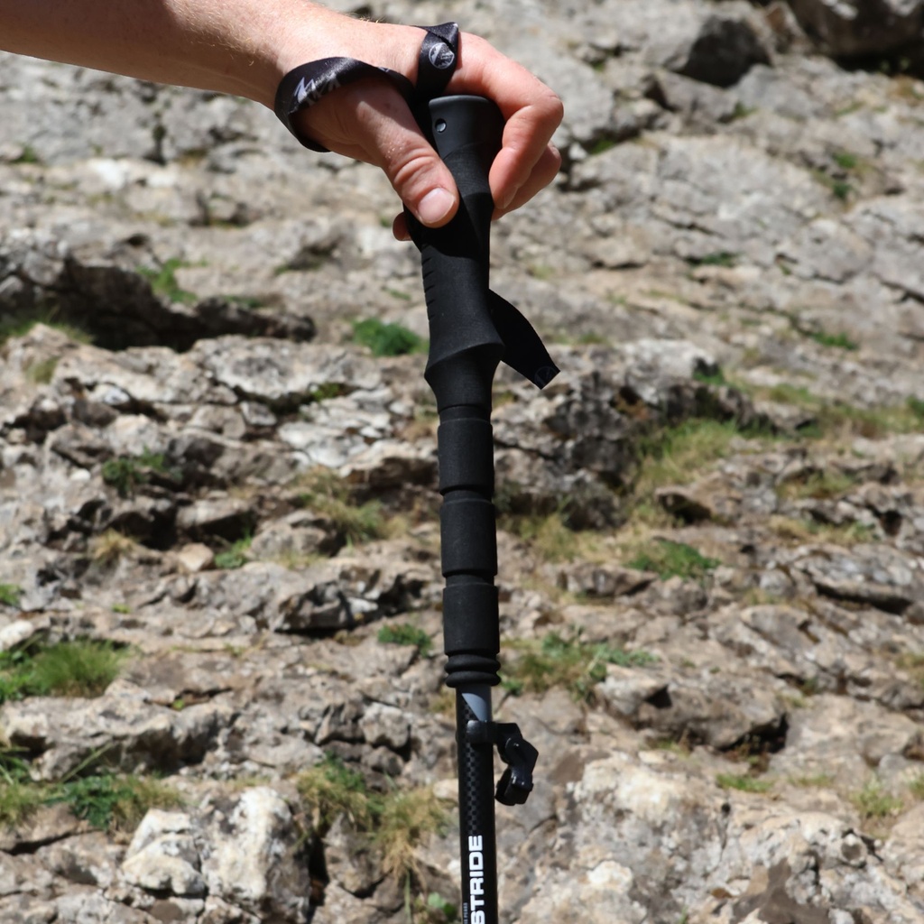 Six Peaks Stride Walking Pole (2 pcs)
