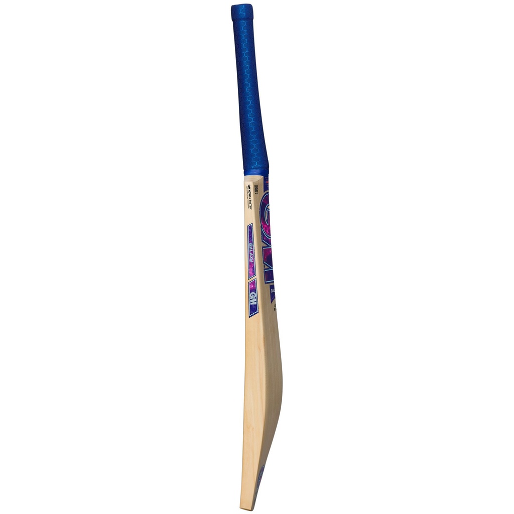 GM Galaxy 404 Cricket Bat