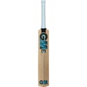 GM Diamond 202 Kashmir Willow Cricket Bat