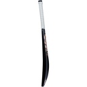 GM Rival Softball Cricket Bat