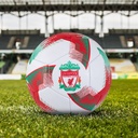 Team Merchandise Blitz Football