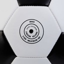 Mitre Flare Football