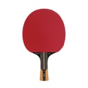 Dunlop Evolution 1000 TT Bat