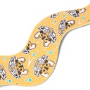 Speedo Learn to Swim Dive Balls