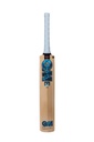 GM Diamond 202 Kashmir Willow Cricket Bat