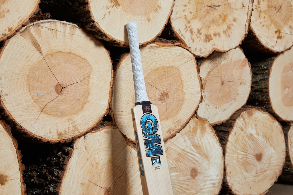 GM Diamond 202 Kashmir Willow Cricket Bat