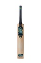 GM Aion 606 English Willow Cricket Bat