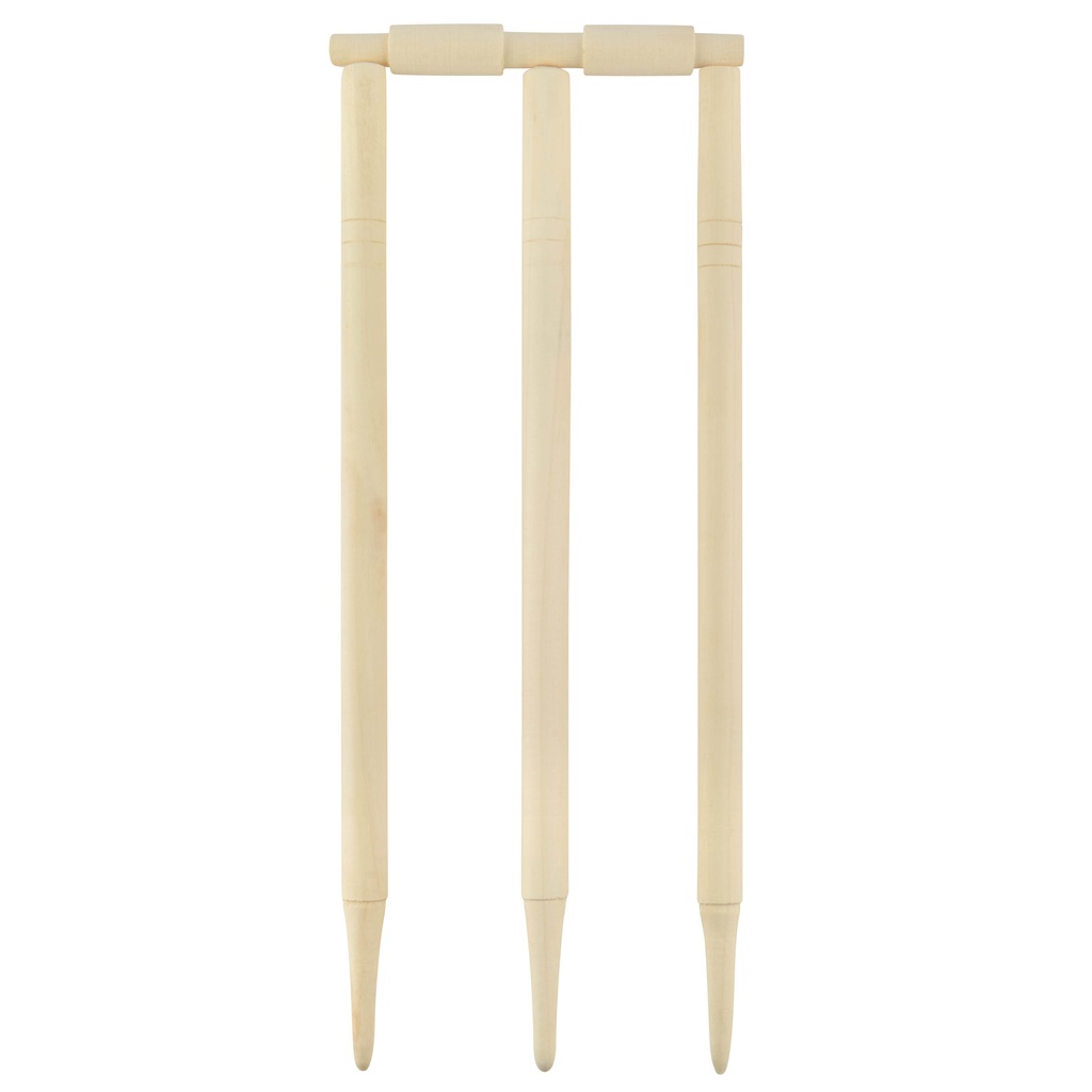 Powerplay 2020 Deluxe Size 3 Cricket Set